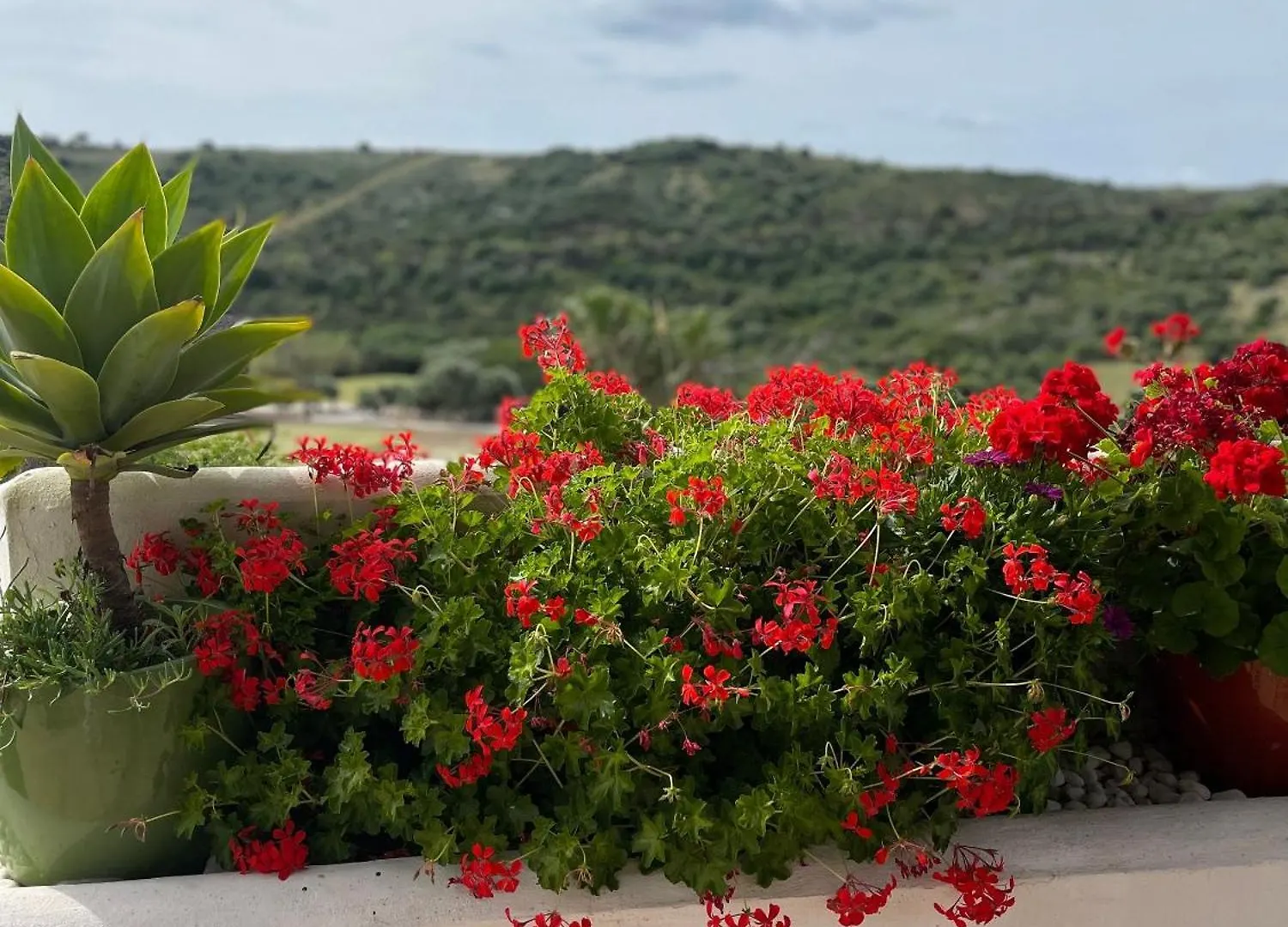 Holiday home Spectacular Penthouse Apartment In Magnificent San Roque Club Spain