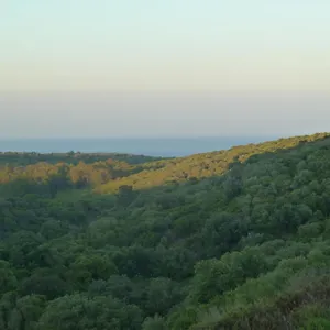 Alcaidesa Golf&nature San Roque (Andalucia)